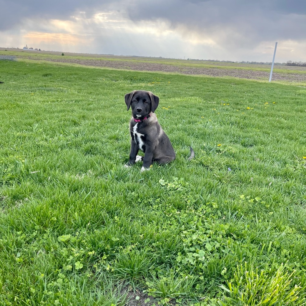 Meet your Posher, Jessica